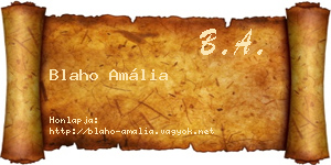 Blaho Amália névjegykártya